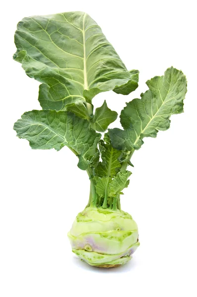 Cabbage kohlrabi on a white background — Stock Photo, Image