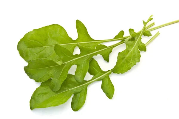 Ruccola salad — Stock Photo, Image