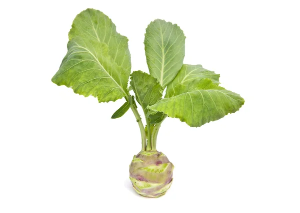 Το γογγύλι λάχανο σε λευκό φόντο — Φωτογραφία Αρχείου