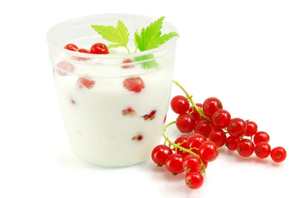 Cream with red currant — Stock Photo, Image