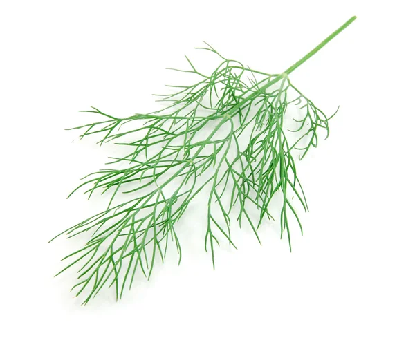 Φύλλα πράσινο μάραθο που απομονώνονται σε λευκό φόντο — Φωτογραφία Αρχείου