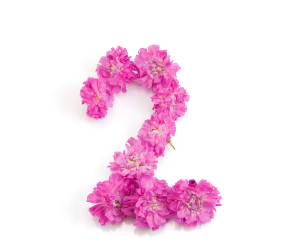 Numer dwa kwiaty — Zdjęcie stockowe