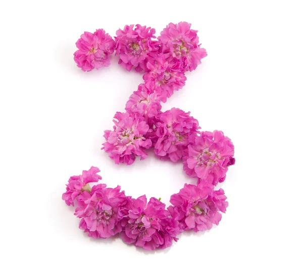Numer trzy kwiaty — Zdjęcie stockowe