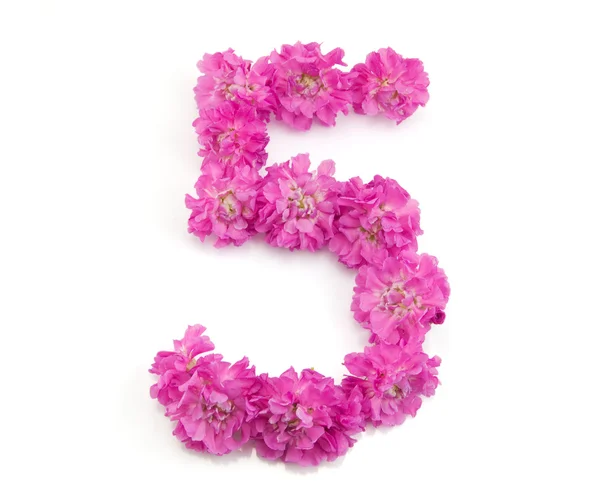 Numer 5 z kwiatów — Zdjęcie stockowe