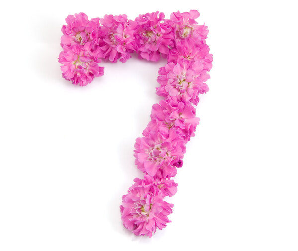 Число семь из цветов
