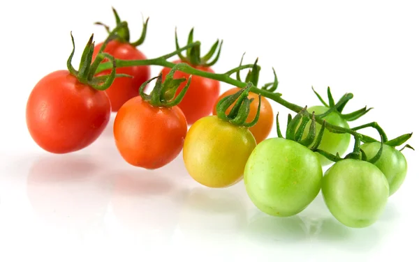 Cherry tomaat — Stockfoto