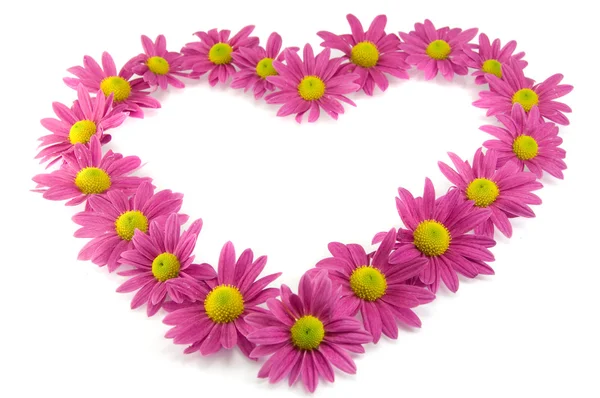Růžové květy ve tvaru srdce — Stock fotografie