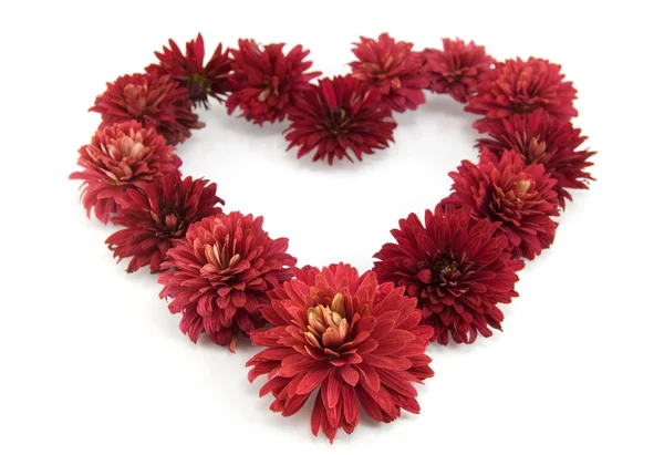 Flores rojas en forma de corazón — Foto de Stock