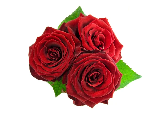 Vörös rózsa csokor — Stock Fotó