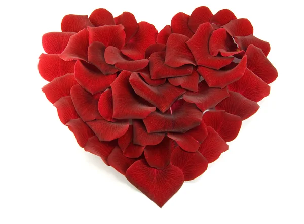 Rosenblätter in Herzform — Stockfoto