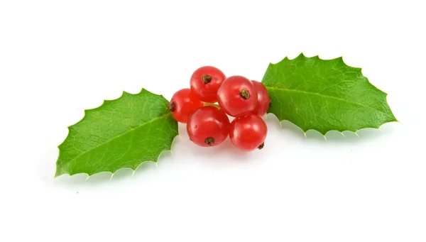 stock image Christmas decoration with holly leaves and berries