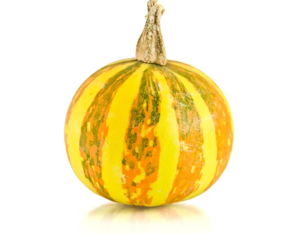 stock image Halloween Pumpkin isolated on white background