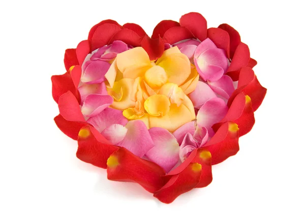 心臓の形にバラの花びら — ストック写真