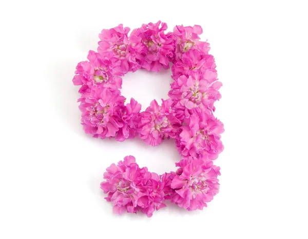 Stock image The number nine from flowers