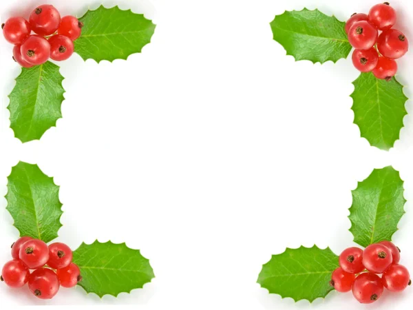 Boże Narodzenie dekoracje z holly odchodzi i jagody — Zdjęcie stockowe
