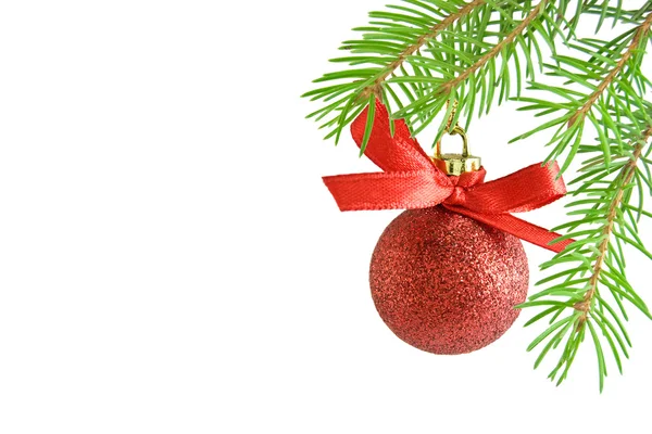Ramo de pinheiro e Bola de Natal — Fotografia de Stock