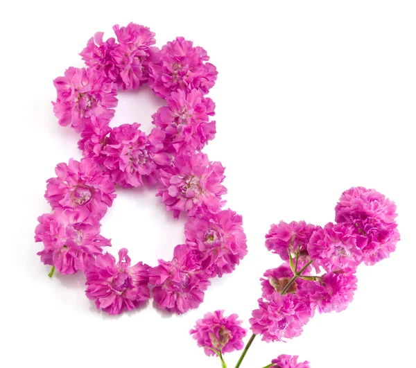 El número ocho de las flores — Foto de Stock