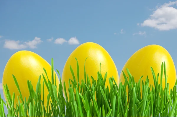 Yellow easter eggs in green grass under blue sky — Stock Photo, Image