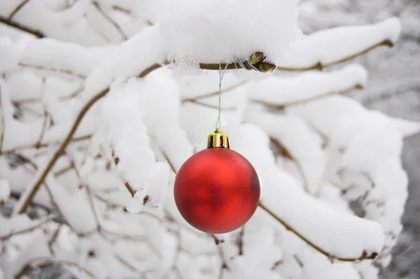 Boule de Noël sur la neige — Photo