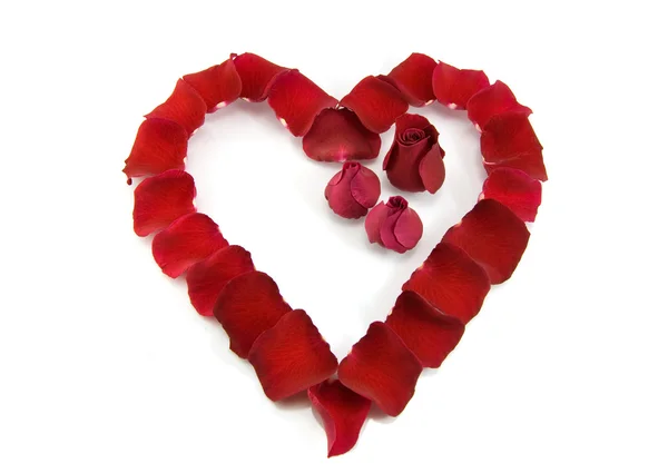 Pétalos de rosa en forma de corazón — Foto de Stock