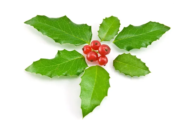 Christmas decoration with holly leaves and berries — Stock Photo, Image