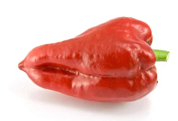 Красный сладкий перец на белом фоне — стоковое фото