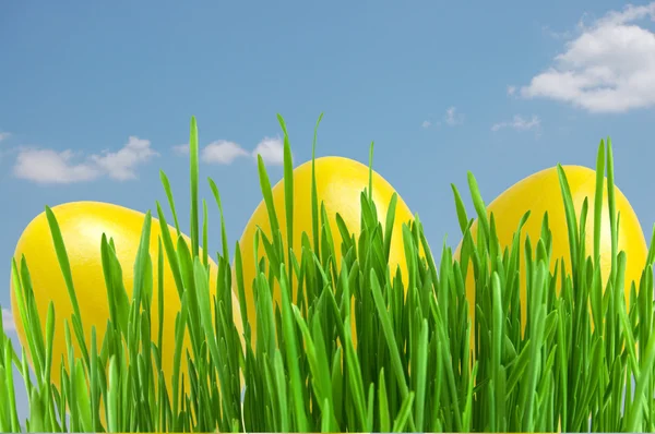 Amarelo ovos de Páscoa na grama verde sob o céu azul — Fotografia de Stock