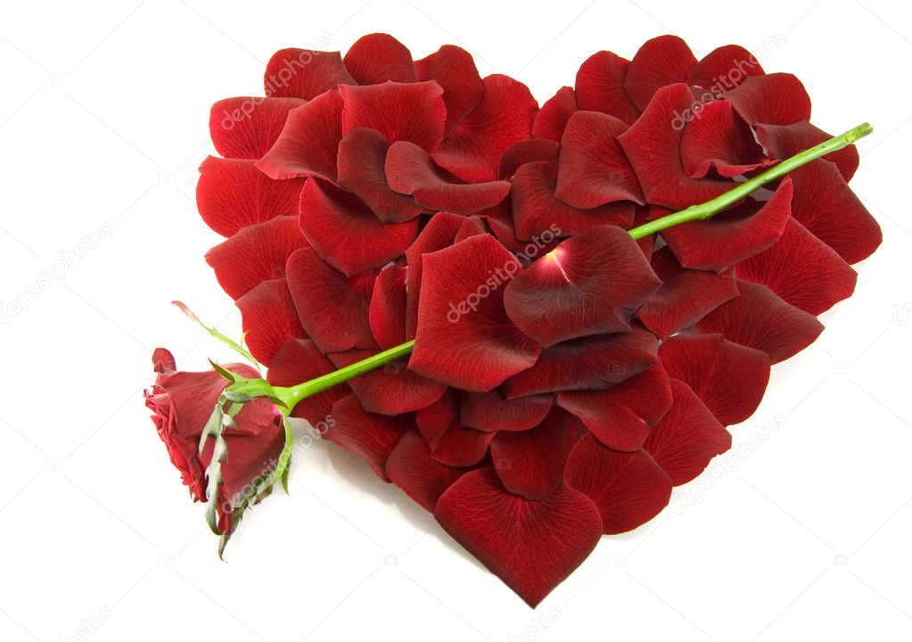 Rose petals in a shape of a heart