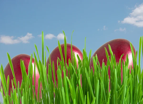 Huevos rojos de Pascua en hierba verde bajo el cielo azul — Foto de Stock
