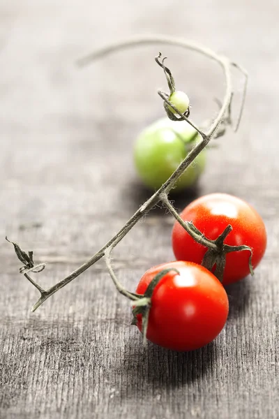 Pomodori freschi — Foto Stock