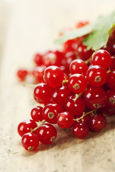 Ripe red currant berries — Stock Photo, Image