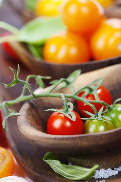 Tomates ecológicos frescos — Foto de Stock