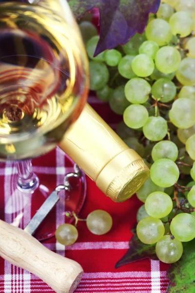 Şarap ve üzüm — Stok fotoğraf