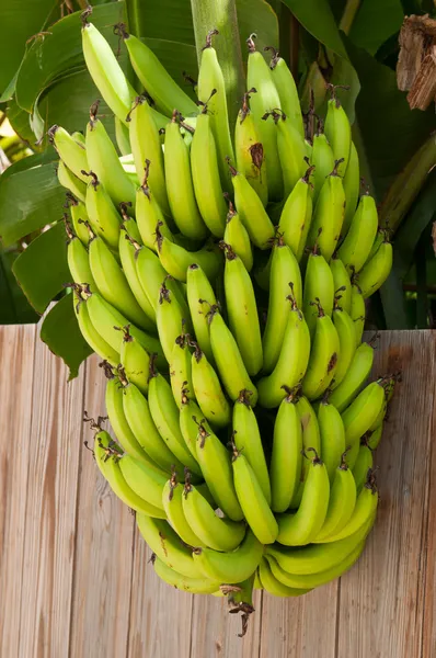 Testa di banane — Foto Stock