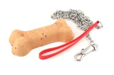 Dog bone and leash clipart