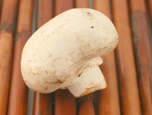 Button mushroom closeup — Stock Photo, Image