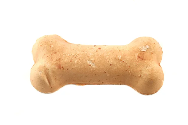 stock image Dog bone