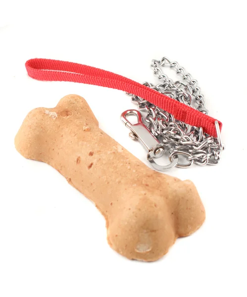 Dog bone and leash — Stock Photo, Image