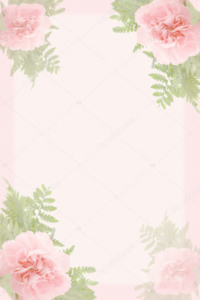 Carnation Border Stock Photo Image By Gvictoria