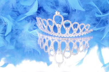 Tiara and blue feather boa clipart