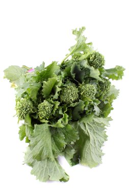 Green rapini clipart