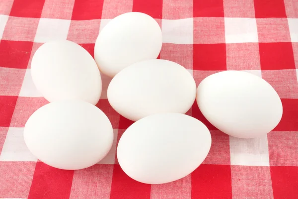 Weiße Eier — Stockfoto