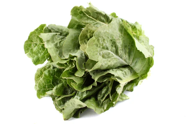 Romainischer Salat — Stockfoto