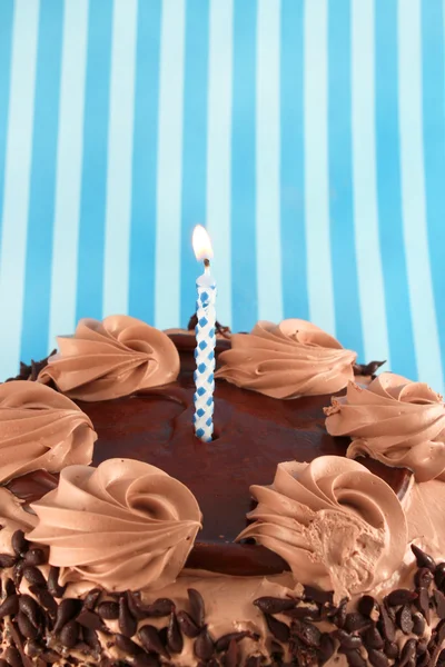 黑森林巧克力蛋糕 — 图库照片