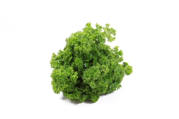 Fresh parsley — Stock Photo, Image