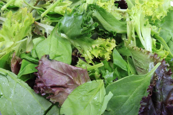 Close up of leafy greens — Stock Photo, Image