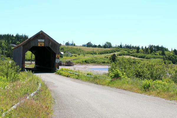 Overbygd bro av tre – stockfoto