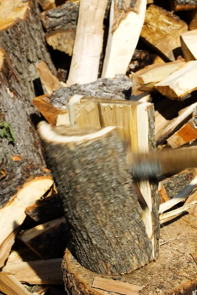 Tabique tronco roble —  Fotos de Stock