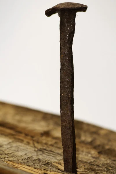 Retro vaste houten nagel — Stockfoto