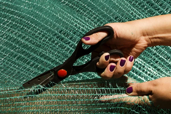 Proceso de corte de tijeras — Foto de Stock